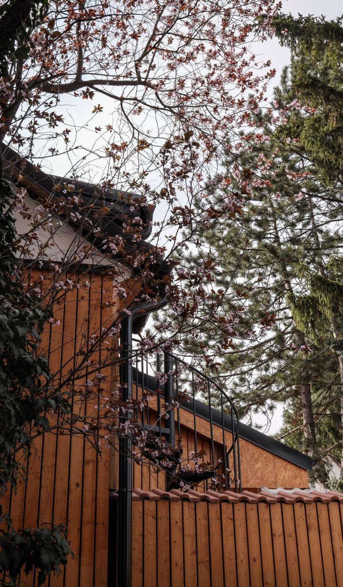Golden Golem Hotel & Spa Praga Exterior foto